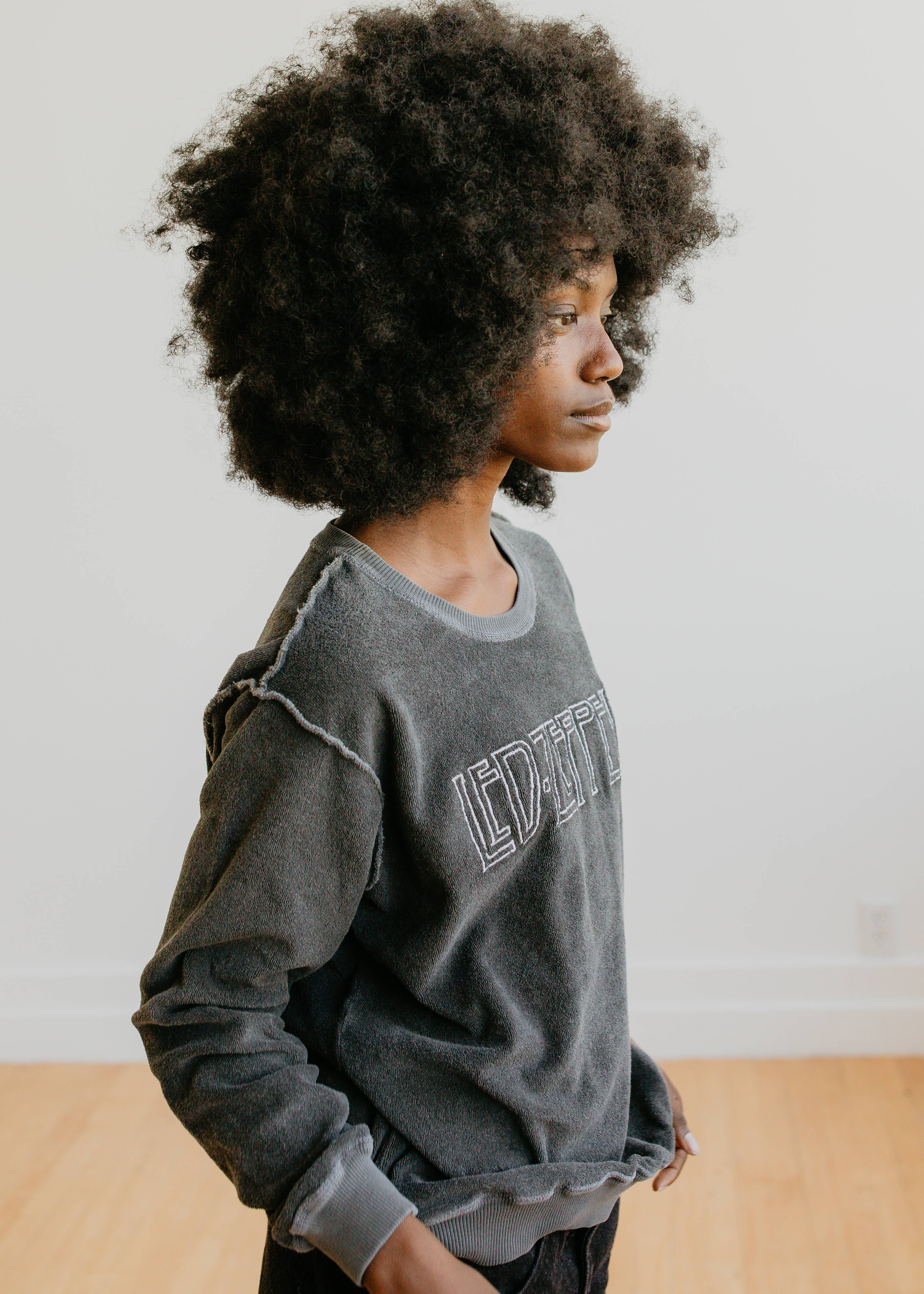 Led Zeppelin Crewneck