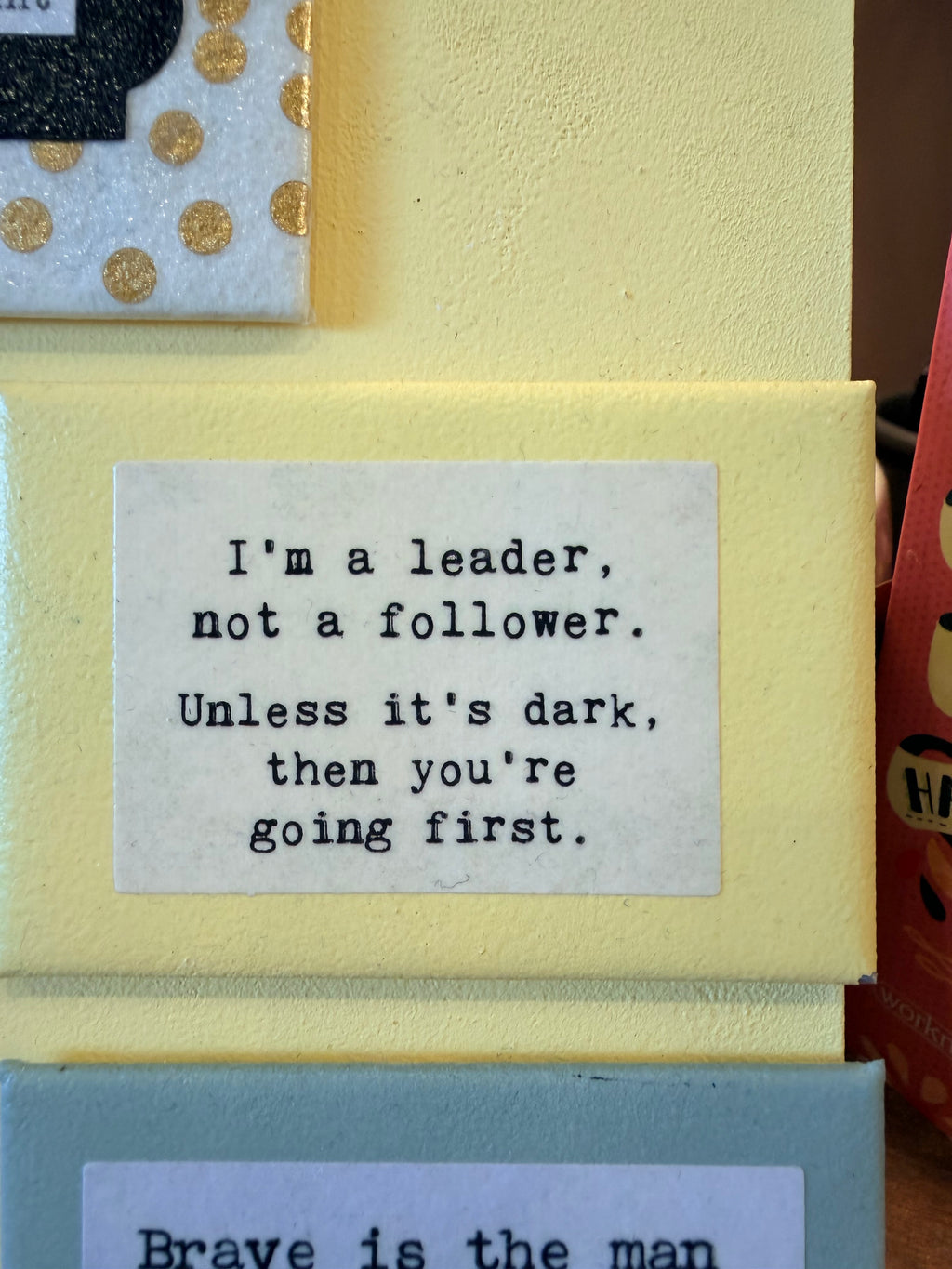 HBC "I'm a Leader" Magnet