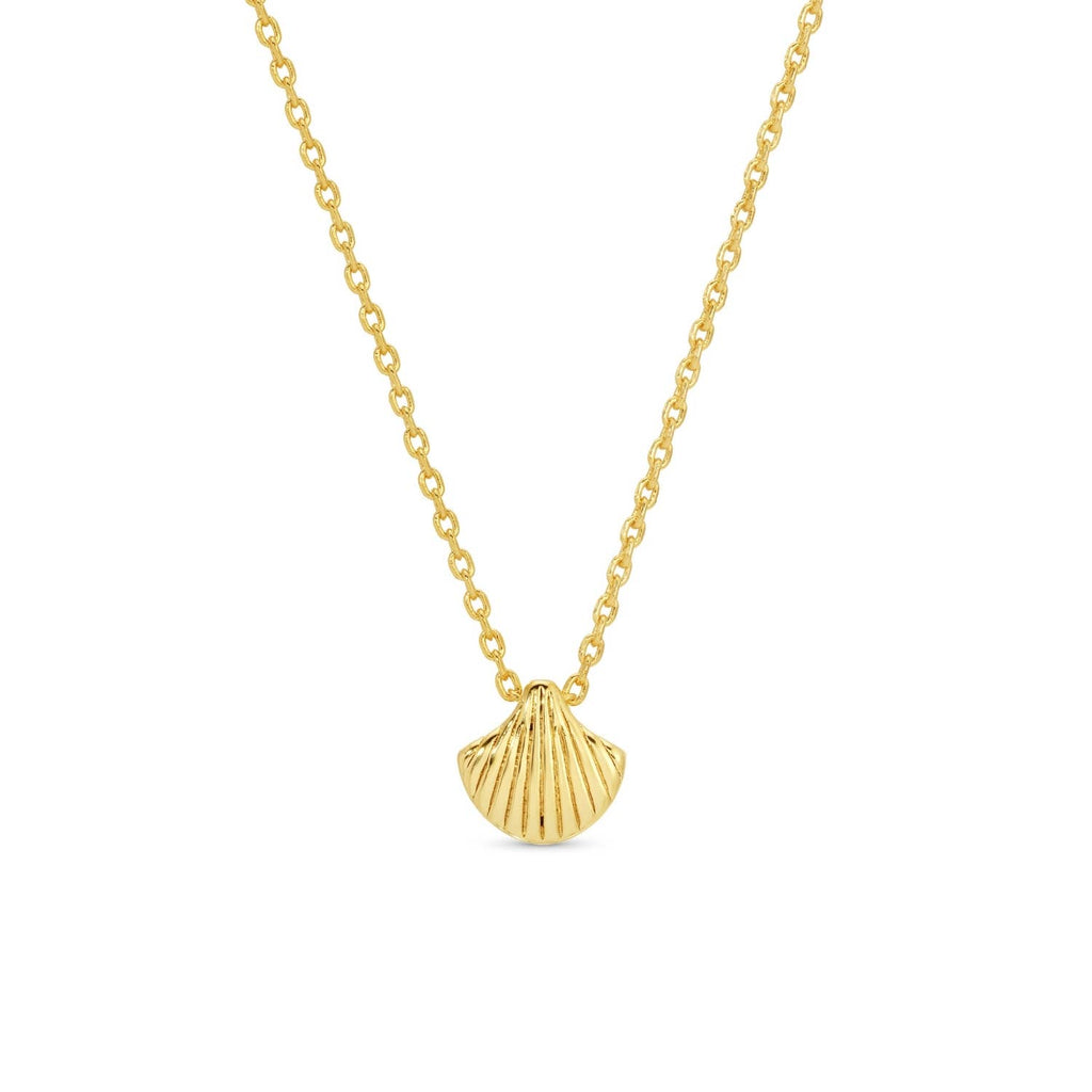 Shell Necklace