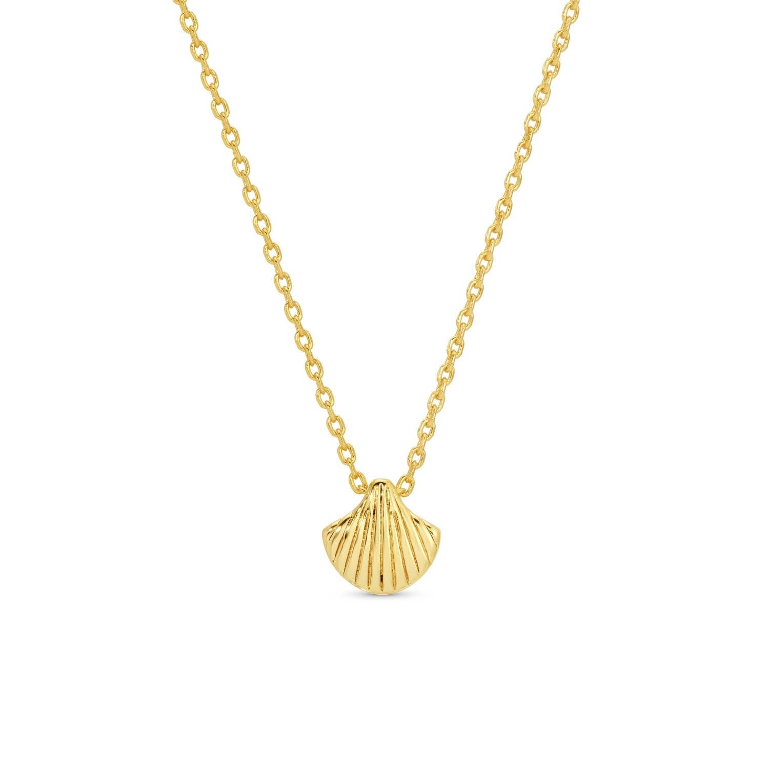 Shell Necklace